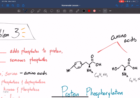 the-function-of-a-________-is-to-add-phosphates-to-proteins-whereas-a-_________-functions-to-remove-