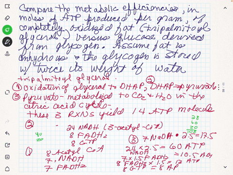 compare-the-metabolic-efficiencies-in-moles-of-atp-produced-per-gram-of-completely-oxidized-fat-trip