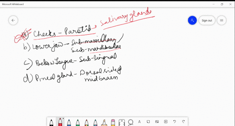 select-the-incorrect-match-position-quad-gland-a-cheeks-parotid-b-lower-jaw-sub-maxillarysub-mandibu