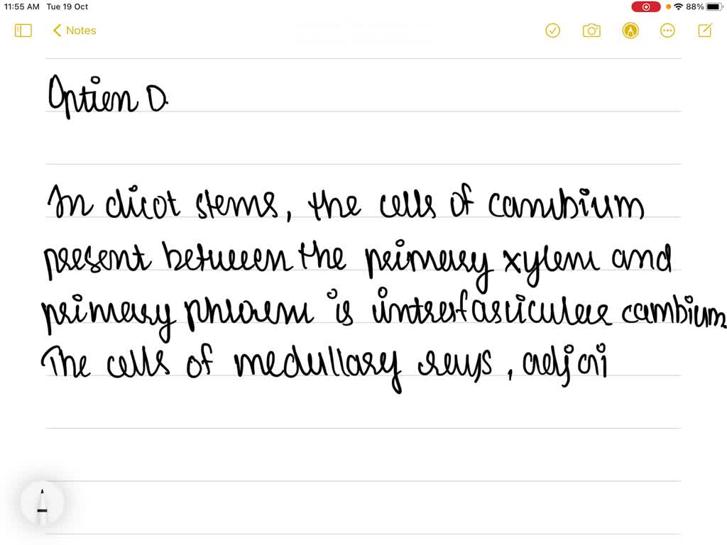SOLVEDVascular cambium is formed by I. Interfascicular cambium II