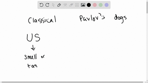 describe-pavlovs-dog-experiments-as-an-example-of-classical-conditioning-a-pavlov-demonstrated-class
