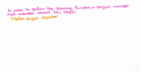 describe-what-the-project-manager-should-do-to-perform-the-planning-function-give-some-specific-exam