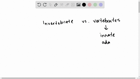 which-of-these-is-not-part-of-insect-immunity-a-enzyme-activation-of-pathogen-killing-chemicals-b-ac