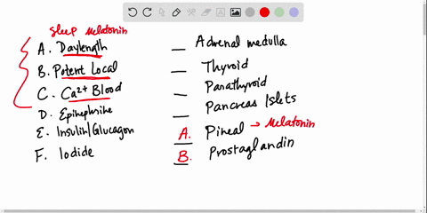 match-the-hormone-source-listed-at-left-with-the-most-suitable-description-at-right-_______adrenal-m