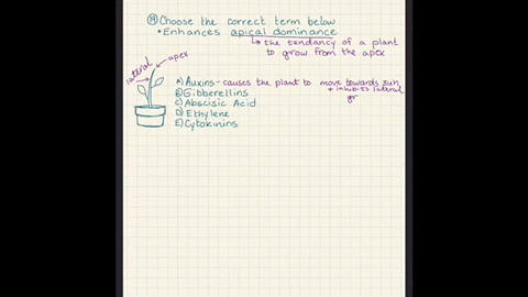 questions-17-23-choose-from-the-terms-below-a-auxins-b-gibberellins-c-abscisic-acid-d-ethylene-e-c-3
