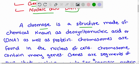 what-is-the-relationship-among-the-cell-parts-called-chromosomes-the-units-of-heredity-called-genes-
