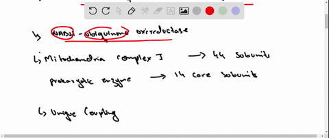 why-is-it-possible-for-electrons-to-flow-from-a-redox-center-with-a-more-positive-mathscrecirc-prime