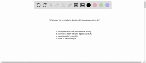 the-sympathetic-division-of-the-autonomic-nervous-system-a-increases-heart-rate-and-digestive-activi