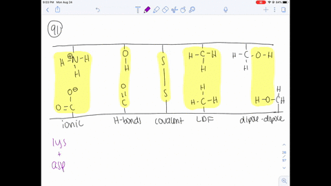 give-an-example-of-amino-acids-that-could-give-rise-to-the-interactions-pictured-in-fig-21-24-that-m