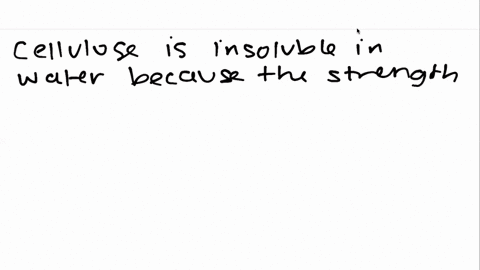 why-is-cellulose-insoluble-in-water-2