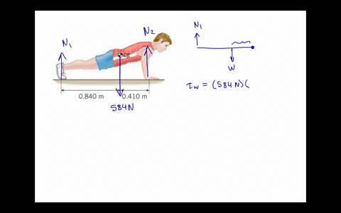 the-drawing-shows-a-person-weight-w-584-n-doing-push-ups-find-the-normal-force-exerted-by-the-floor