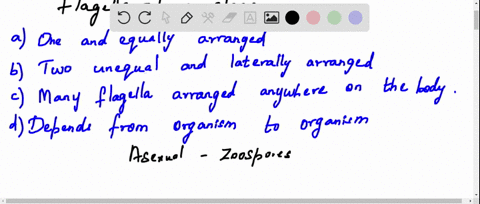 the-arrangement-of-flagella-in-brown-algae-is-a-one-and-equally-arranged-b-two-unequal-and-laterally