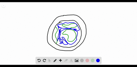 a-global-warming-b-eutrophication-of-lakes-c-depletion-of-the-ozone-layer-d-magnification-in-the-f-3