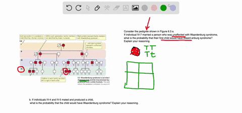 consider-the-pedigree-shown-in-figure-63-a-if-individual-iv-7-married-a-person-who-was-unaffected-wi