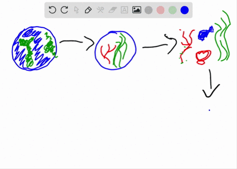 Solved Draw It With Rough Sketches Draw A Biological Hierarchy Similar To The One In Figure 1 3 But Using A Coral Ree