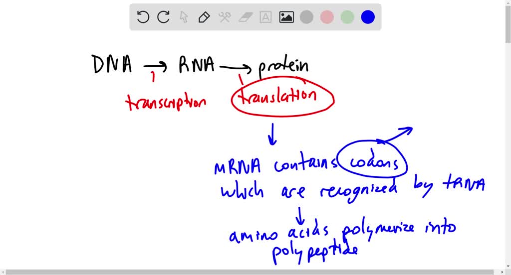 solved-why-do-we-call-the-genetic-code-degenerate