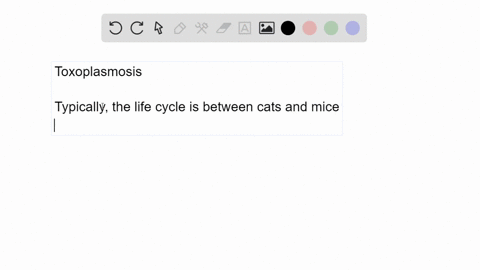aside-from-a-risk-of-birth-defects-what-other-effect-might-a-toxoplasmosis-infection-have-2