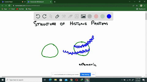 draw-a-nucleosome-indicating-the-positions-of-dna-and-proteins-3