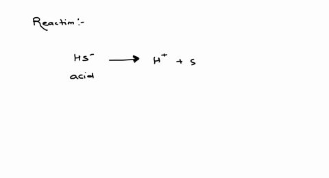 which-of-the-following-can-act-both-as-a-bronsted-acid-and-a-bronsted-base-a-mathrmnh_4-b-mathrmco_3