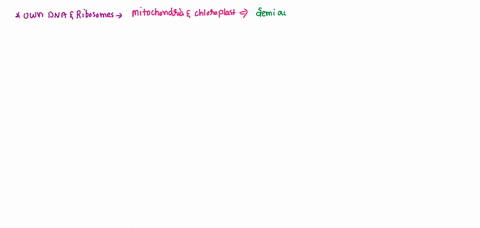 which-of-the-following-organelles-possess-their-own-dna-and-ribosomes-a-mitochondria-and-plastids-b-