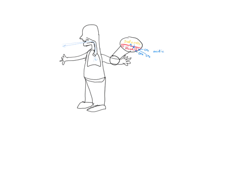 all-of-the-following-are-correct-about-gas-exchange-in-humans-except-a-hemoglobin-carries-oxygen-and
