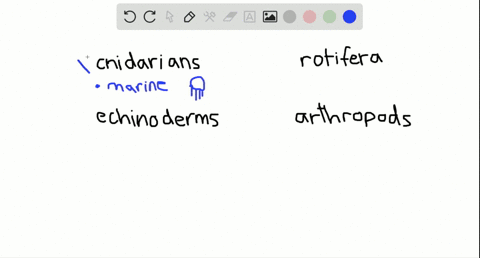 ___________-include-the-only-winged-invertebrates-a-cnidarians-b-echinoderms-c-rotifers-d-arthropods