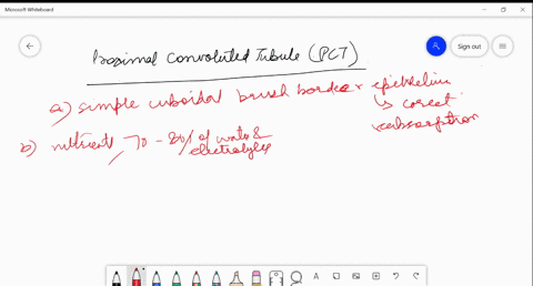 which-of-the-following-is-incorrect-about-pct-a-lined-with-simple-cuboidal-brush-border-epithelium-b