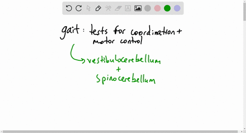 which-of-the-following-tests-cerebellar-function-related-to-gait-a-toe-to-finger-b-station-c-lah-kah