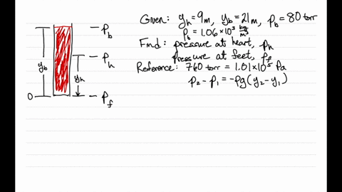 Solved Giraffe Bending To Drink In A Giraffe With Its Head 2 0 Mathrm M Above Its Heart And Its Heart 2 0 Mathrm Solved Giraffe Bending To Drink In A Giraffe With Its Head 2 0 Mathrm M Above Its Heart And Its Heart 2 0 Mathrm