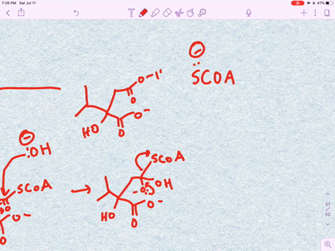 the-amino-acid-leucine-is-biosynthesized-from-alpha-ketoisovalerate-by-the-following-sequence-of-ste