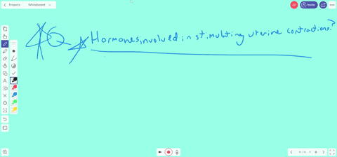 contractions-of-the-uterus-during-labor-are-stimulated-by-which-of-the-following-hormones-a-estrogen