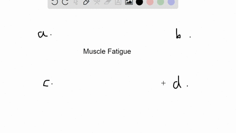 muscle-fatigue-is-caused-by-_________-a-buildup-of-atp-and-lactic-acid-levels-b-exhaustion-of-energy