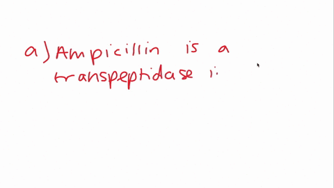 a-what-type-of-an-inhibitor-is-the-antibiotic-ampicillin-205-b-why-is-ampicillin-used-to-treat-bacte