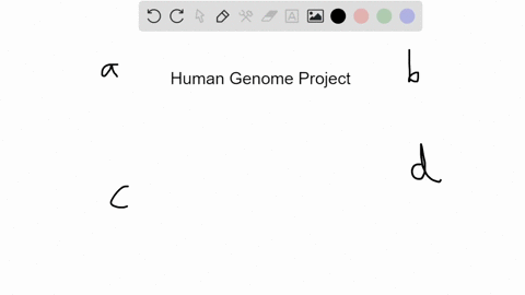 the-human-genome-project-was-undertaken-to-______-a-identify-all-the-genes-in-human-dna-b-improve-to