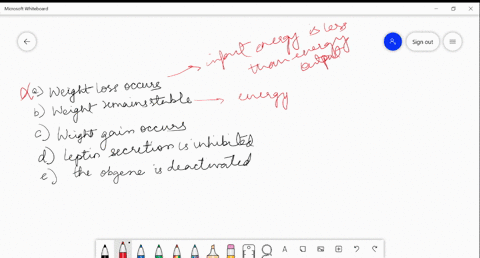 when-energy-input-is-greater-than-energy-output-a-weight-loss-occurs-b-weight-remains-stable-c-wei-5