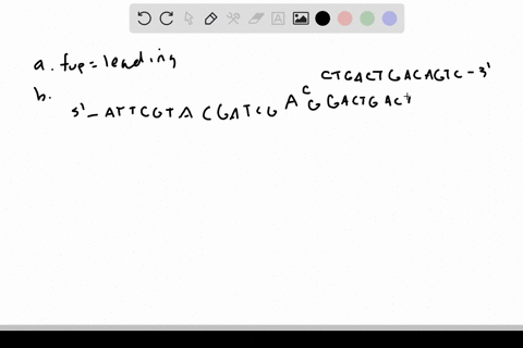 consider-the-following-segment-of-dna-which-is-part-of-a-much-longer-molecule-constituting-a-chromos