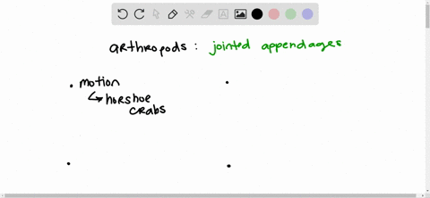 one-of-the-key-characteristics-of-arthropods-is-their-jointed-appendages-describe-four-functions-o-2
