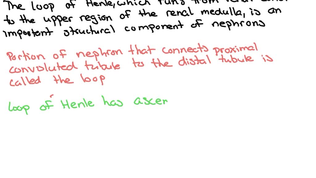 SOLVED What is the importance of the following structure? Transports