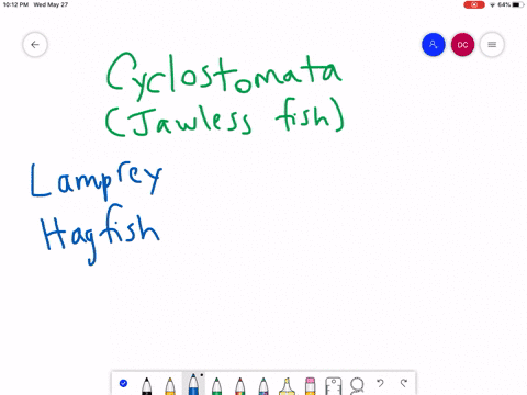 what-can-be-inferred-about-the-evolution-of-the-cranium-and-the-vertebral-column-from-examining-hagf