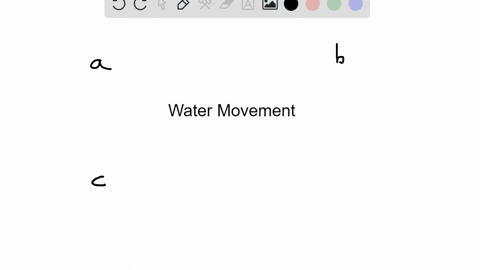 solute-contributes-to-the-movement-of-water-between-cells-and-the-surrounding-medium-by-_____-a-osmo