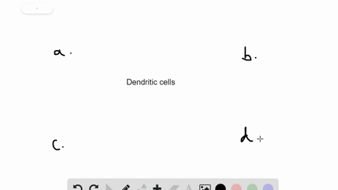 a-dendritic-cell-engulfs-a-bacterium-then-presents-bacterial-bits-on-its-surface-together-with-_____