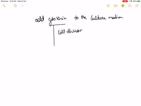 what-would-happen-if-you-forget-to-add-cytokinin-to-the-culture-medium-a-callus-will-not-develop-sho