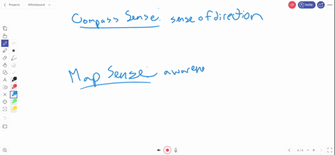 both-compass-sense-and-map-sense-are-necessary-for-a-navigation-b-migration-c-directional-orientat-4