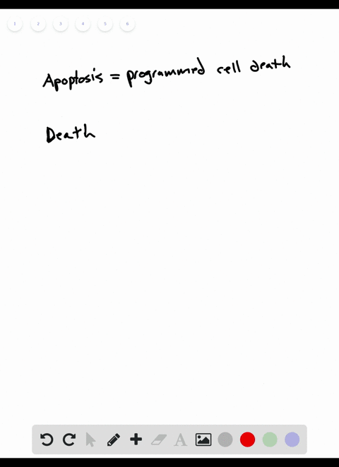 write-about-a-theme-organization-the-properties-of-life-emerge-at-the-biological-level-of-the-cell-t
