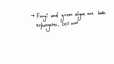 which-group-of-organisms-is-most-closely-related-to-the-kingdom-fungi-a-the-animal-kingdom-b-the-gre