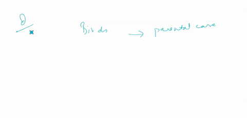 in-birds-how-does-the-amount-of-parental-care-required-by-the-offspring-affect-the-evolution-of-a-sp