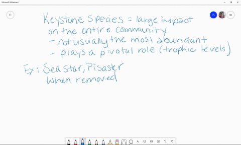predators-that-are-keystone-species-can-maintain-species-diversity-in-a-community-if-they-a-compet-2