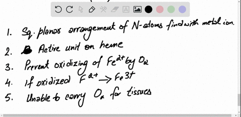 in-what-ways-is-the-porphyrin-structure-important-in-biological-systems