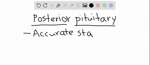 the-posterior-pituitary-a-synthesizes-oxytocin-b-is-under-the-control-of-hypothalamic-releasing-neur