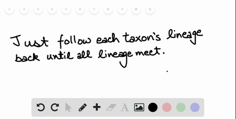 in-the-diagram-shown-which-is-the-most-recent-common-ancestor-of-1-and-3-beginarrayltext-a-a-text-b-